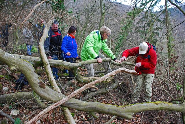 Auf verwildertem Pfad hinunter zum Neckar