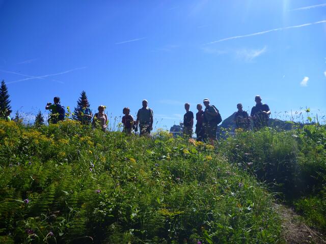 Aufstieg zum Wallberg
Fotograf: J. Betz, Ort: Rottach - Egern, Agentur: Schwäb. Albverein Bad Friedrichshall | Foto: 2015