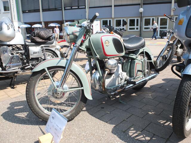 Eine seltene Victoria Bergmeister.