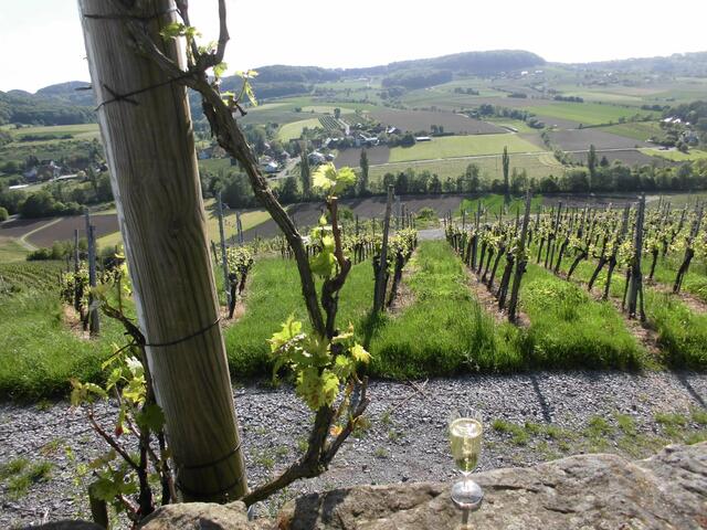 Hohenlohes Toscana - das Steinbacher Tal