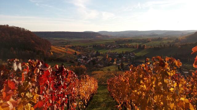 Herbst in Buchhorn