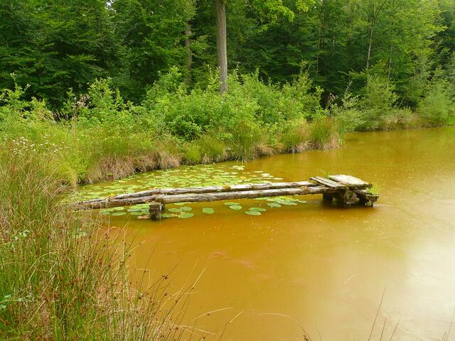 einsam gelegener See beim Guthof/Weißbach