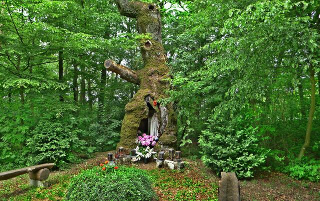 Madonna in der hohlen Eiche - an der "Hohe Straße" bei DiebachH