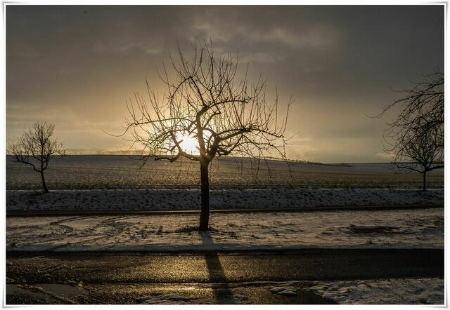 Abendstimmung bei Neipperg