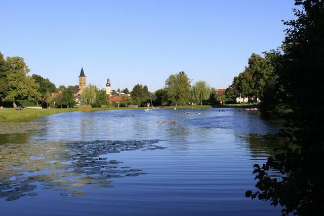 Elsenzer See