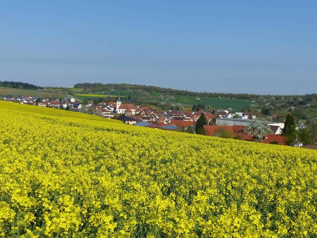 Frühling im Kraichgau