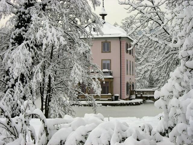 Schneewunder am Trappensee