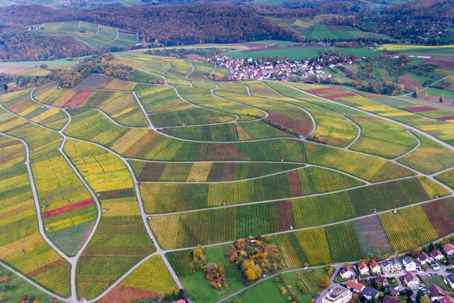goldener Oktober