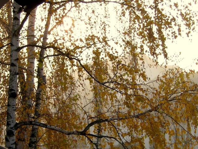 Morgendliche Herbstsonne