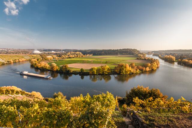 Neckarschleife in Lauffen