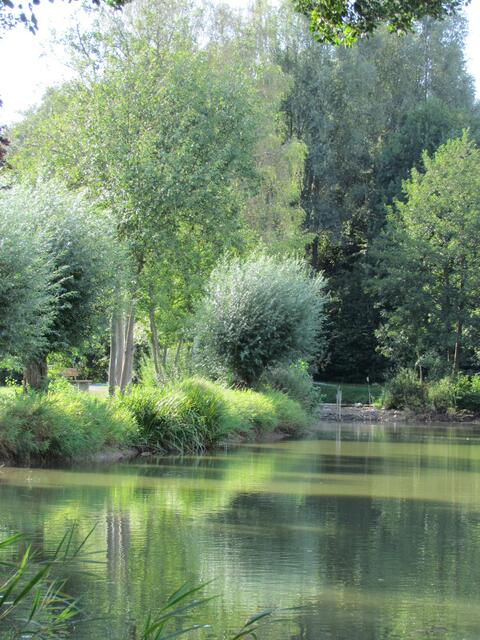 See in Untereisesheim