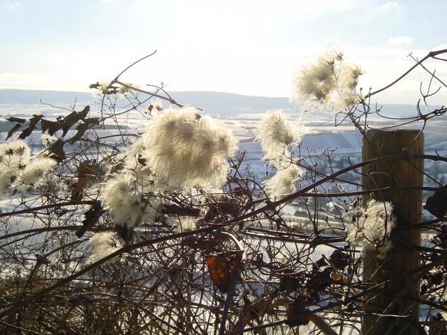 Blick auf den Stromberg