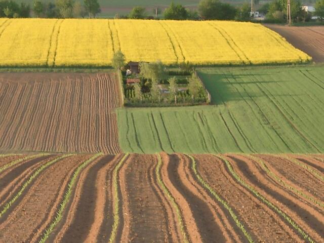 Der Landwirt malt die schönsten Muster