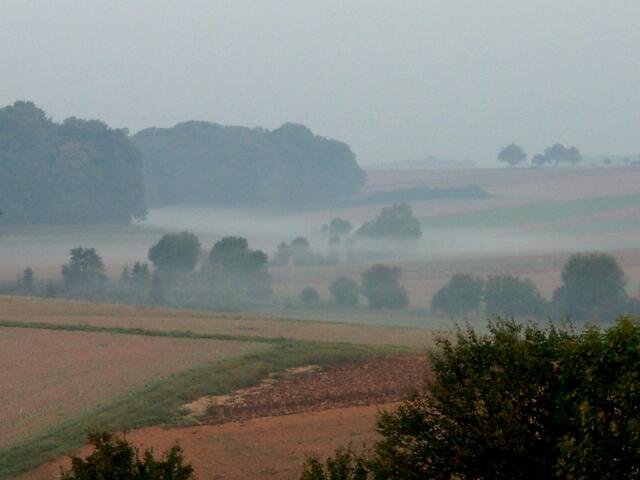 Novembernebel