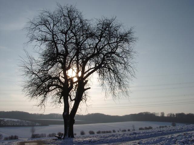 Wintersonne
