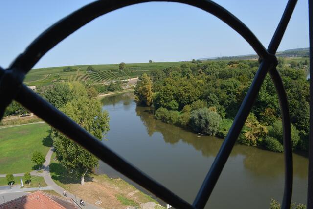 Neckar bei Lauffen