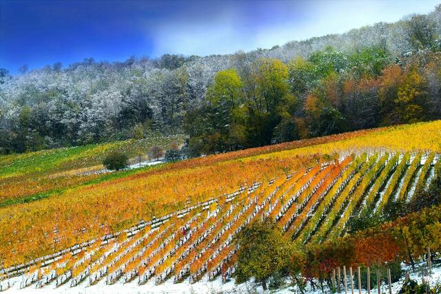 Schnee im Herbst: Zwischen Bretzfeld und Geddelsbach