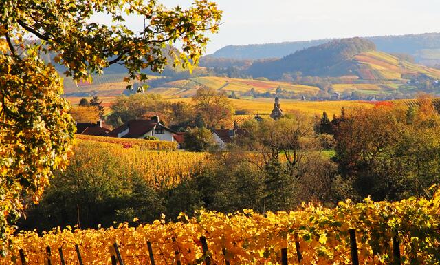 Herbstmorgen um Schloss Lehrensteinsfeld