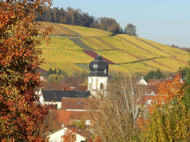 Blick auf Obersulm- Affaltarch