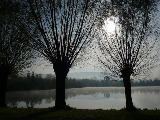 Novemberstimmung am Breitenauer See