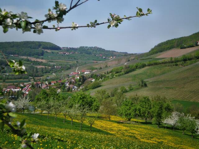 Das wunderschöne Steinbacher Tal