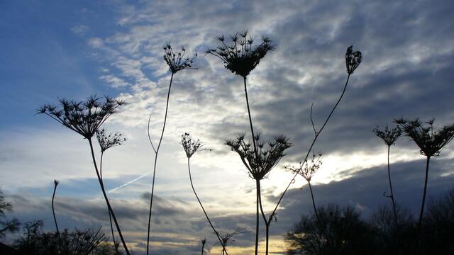 Winterimpression