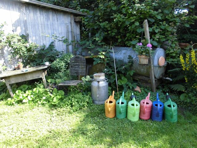 Ordnungshalber ... mein Garten