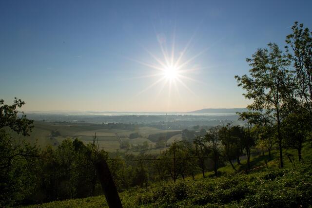 Frühsommer in der Hohenloher Ebene