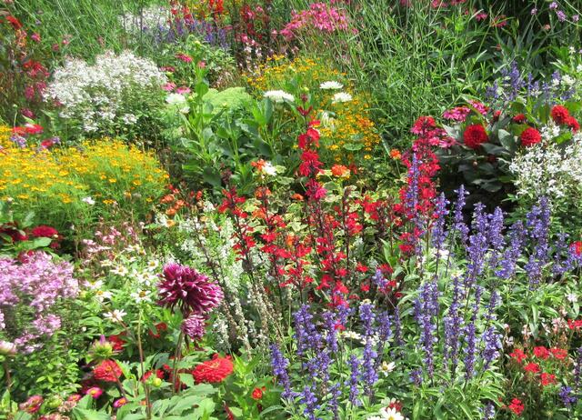 kunterbunt