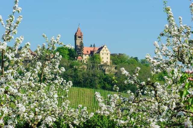 Schloss Stocksberg in Brackenheim-Stockheim