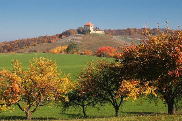 Burg Wildeck im Herbst