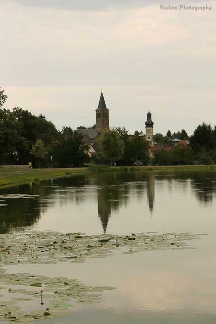 Ein schöner Sommertag am See Elsenz