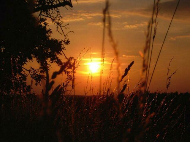Sonnenuntergang bei Neuenstein