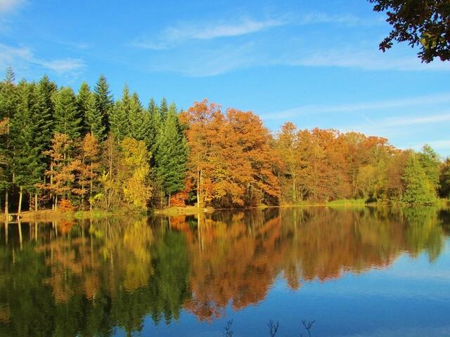 Indian Summer am Neumühlsee