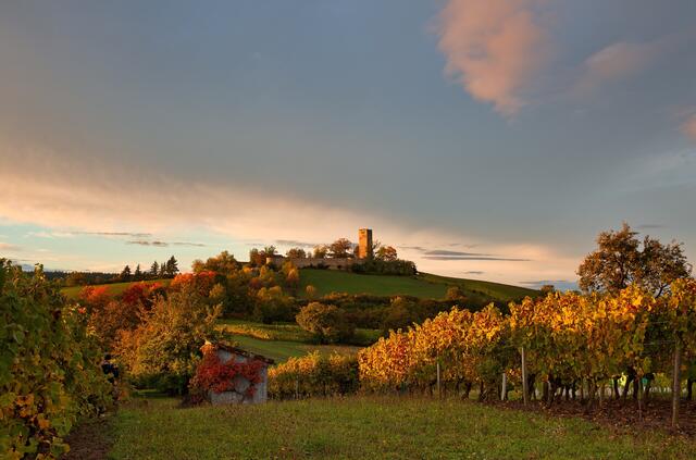 Ravensburg im Herbst