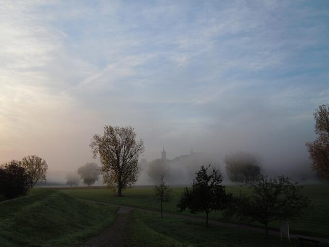 Herbstspaziergang am Neckarufer bei Offenau