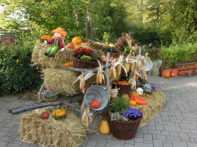 Herbst in Tripstrill