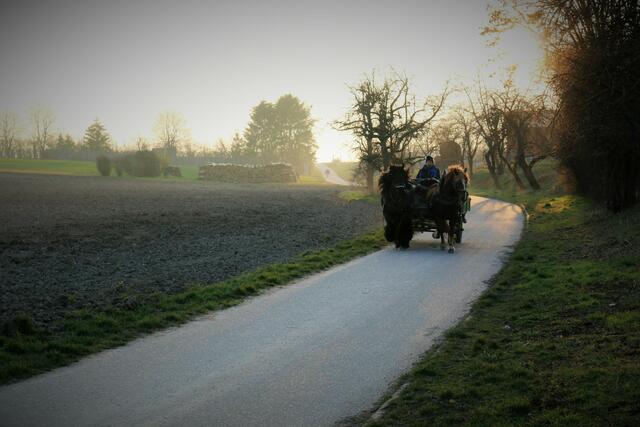 Abendstimmung