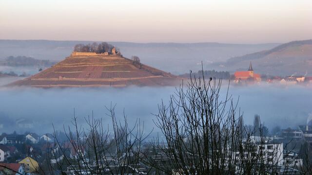 Weibertreu im Nebel