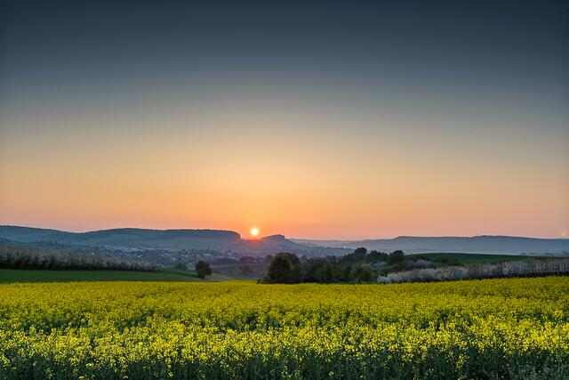 Sonnenaufgang im Weinsberger Tal