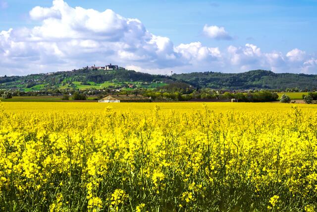 Herrlicher Blick auf die Waldenburger Berge
