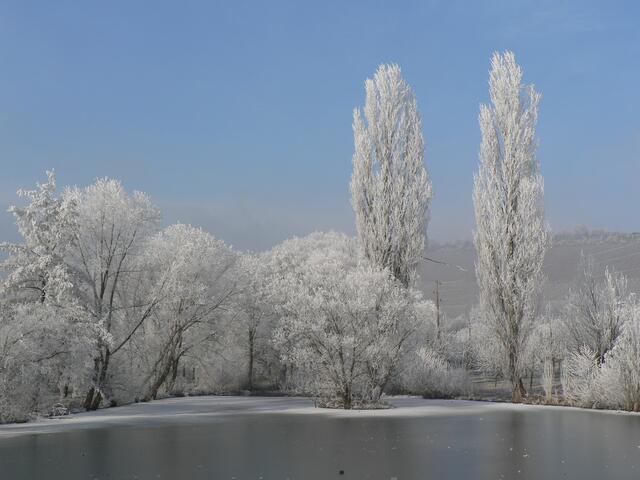 Raureif am Mönchsbergsee bei Neipperg