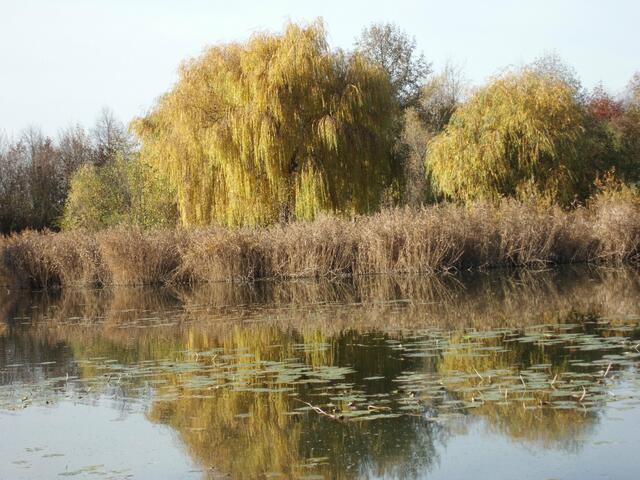 Herbst im Ziegeleipark