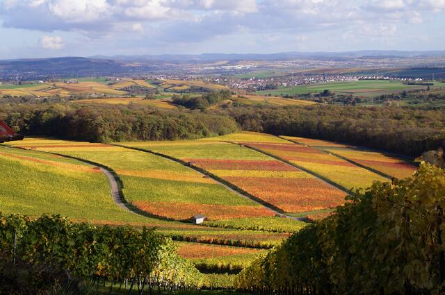 Herbstlicher Blick vom Heuchelberg zwischen Schwaigern und Leingarten.