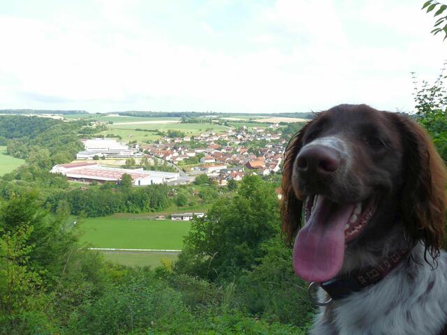 Blick vom "weißen Kreuz" auf Berlichingen