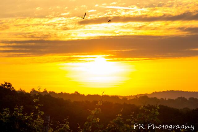 Sonnenaufgang auf der Burg Stettenfels