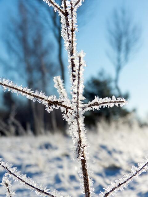 Waldheide Heilbronn im Winter 2017