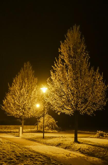 Abendspaziergang in Güglingen