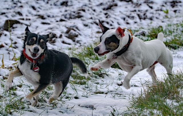 Im Schnee zu spielen macht so viel Spaß, wäre doch schade, wenn wir Zuhause geblieben wären!