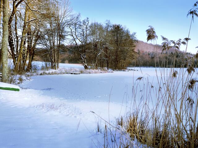 Winterstimmung am Neumühlsee in Waldenburg